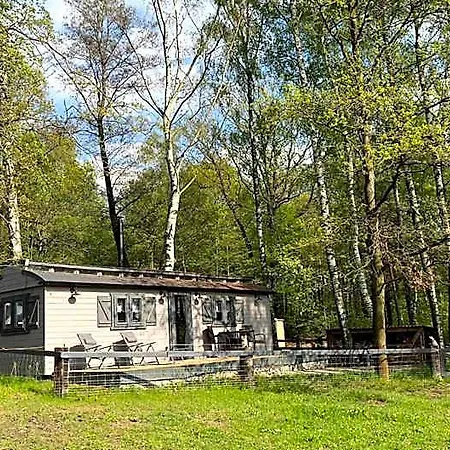Srub Ranch Na Hranici Orman Evi Baska