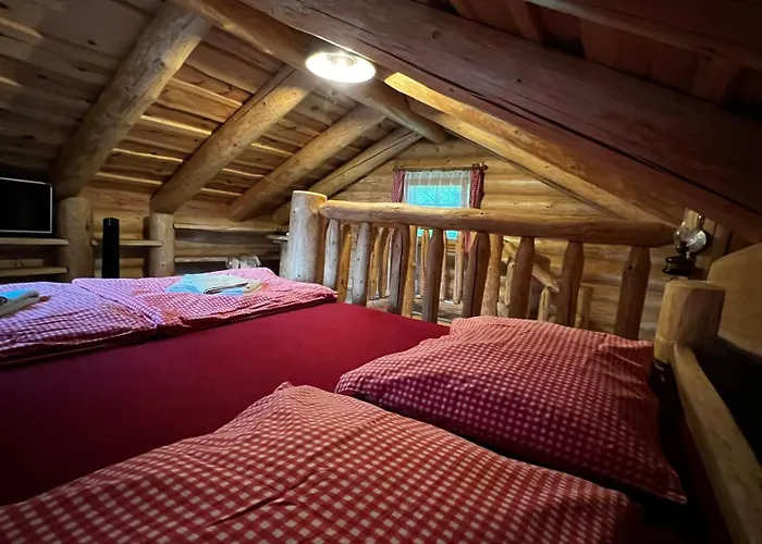 Orman Evi Srub Ranch Na Hranici Baska